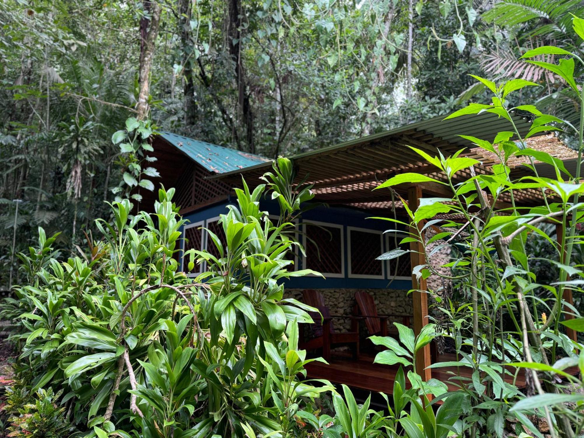 Finca Tatin Hotel Izabal Extérieur photo